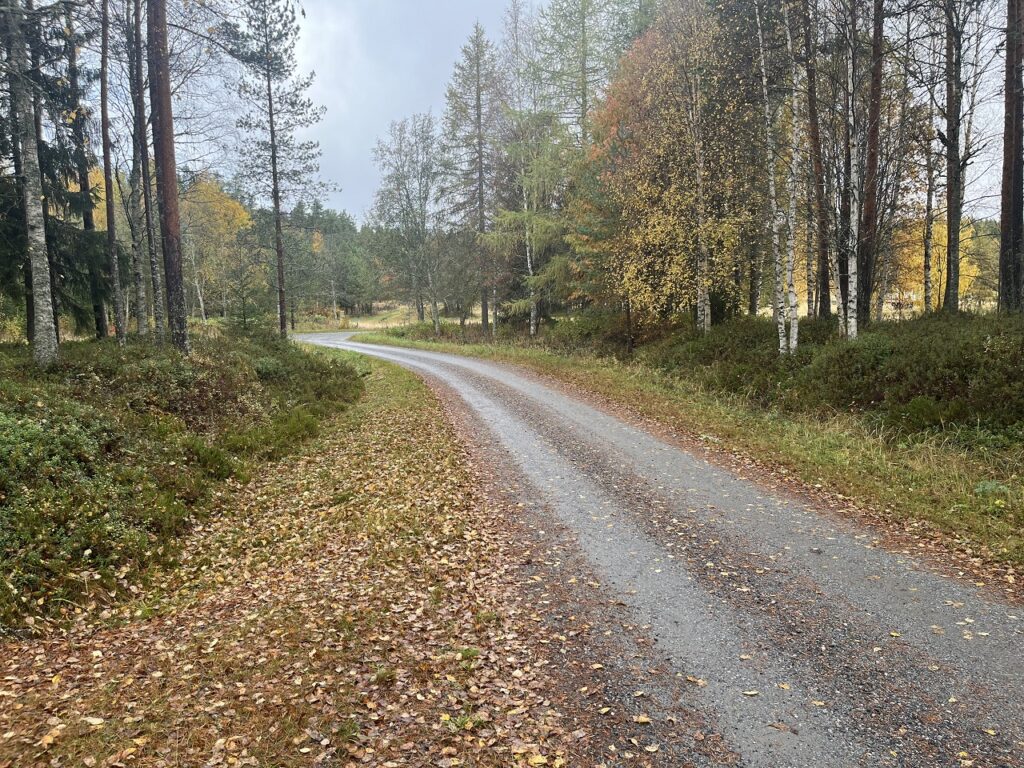 Reitti Sompalan pihatieltä kohti Parran frisbeegolfrataa